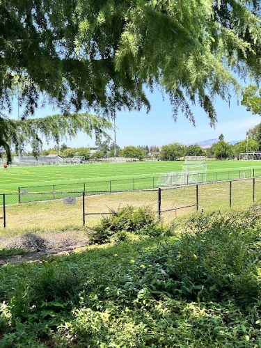 Livermore Canine Park