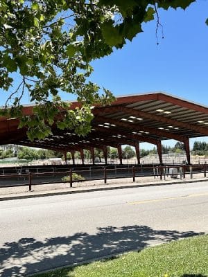 Livermore Canine Park