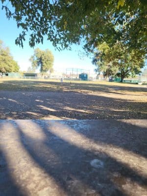 Max Baer Dog Park