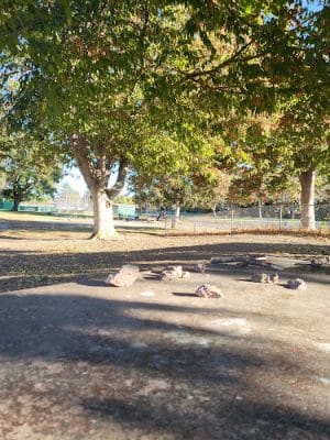 Max Baer Dog Park