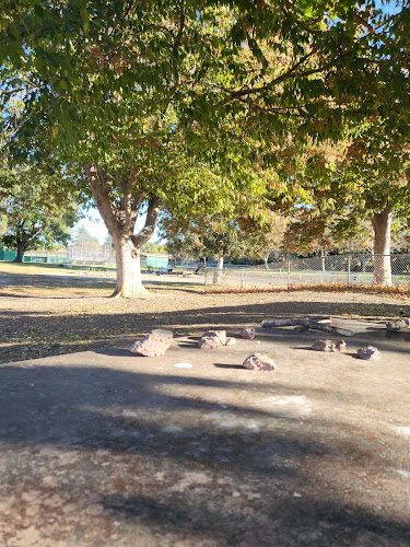 Max Baer Dog Park