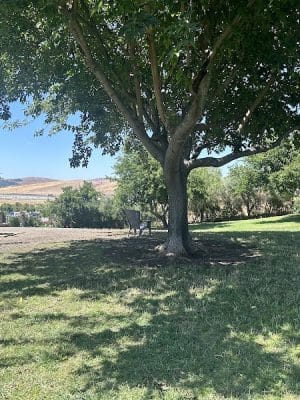 Meadow Vista Dog Park