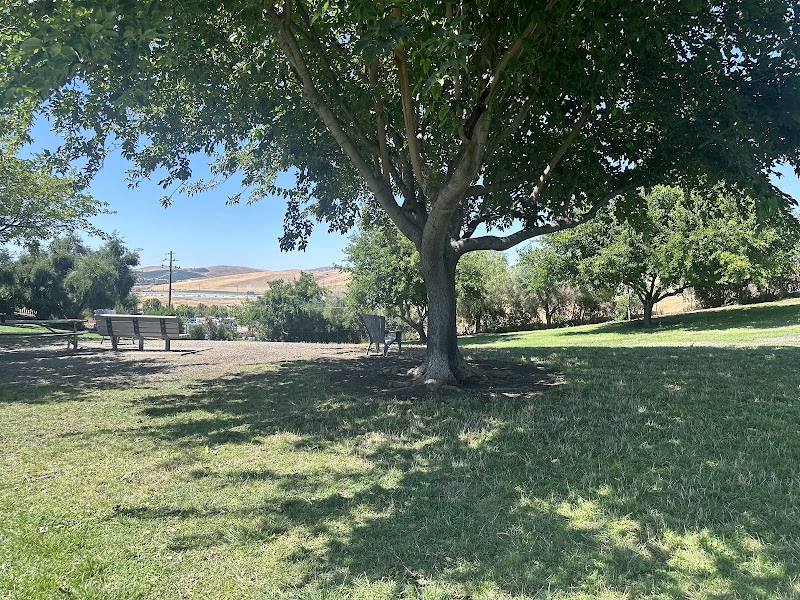 Meadow Vista Dog Park - Livermore, CA