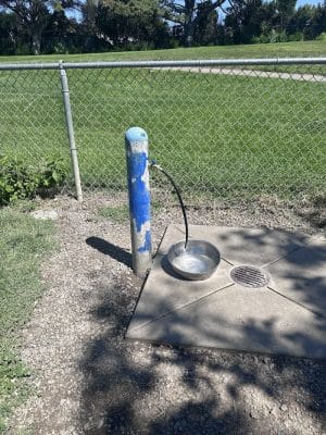 Meadow Vista Dog Park