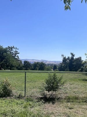 Meadow Vista Dog Park