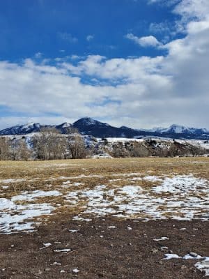 Moja Campbell Dog Park