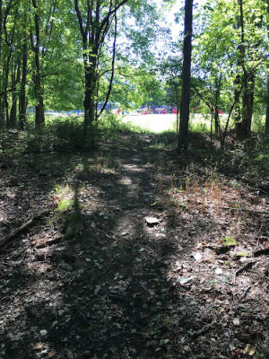 Jon's Harrison Trail