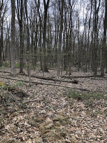 Livingston Walking Trails