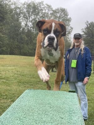 Happy Tails Dog Club