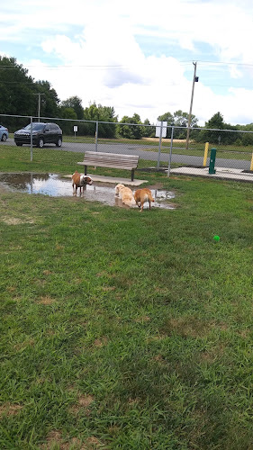 Gloucester County Dog Park
