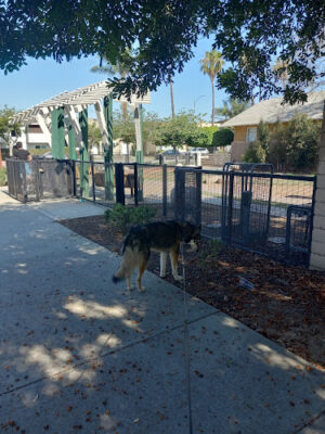 K-9 Corner Dog Park