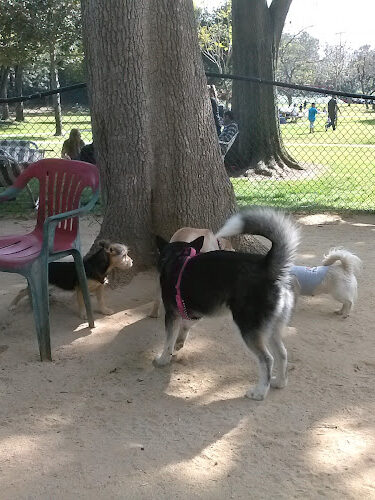 Uptown Dog Park