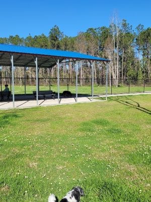 FETCH Park - Long Beach, MS