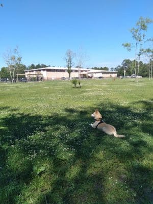 FETCH Park - Long Beach, MS