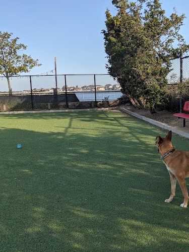 Long Beach Dog Run