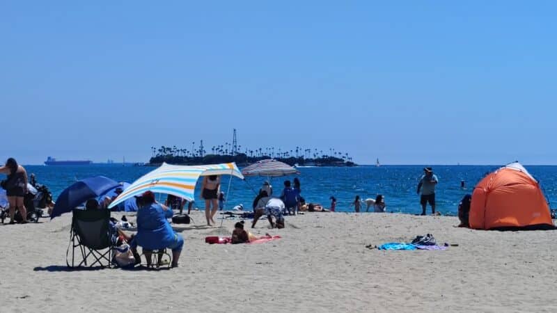 Rosie's Dog Beach - Long Beach, CA