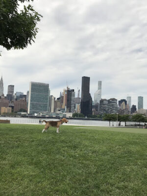 Hunter's Point South Park