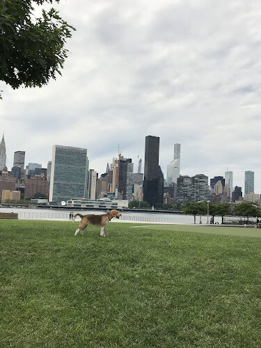 Hunter's Point South Park