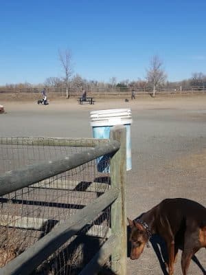 City of Longmont Dog Park #2