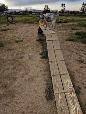 City of Longmont Dog Park #2