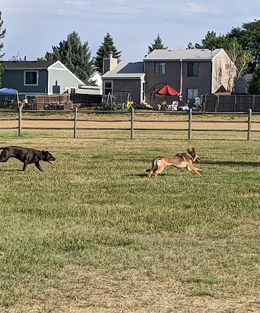 City of Longmont Dog Park #1 - Longmont, CO