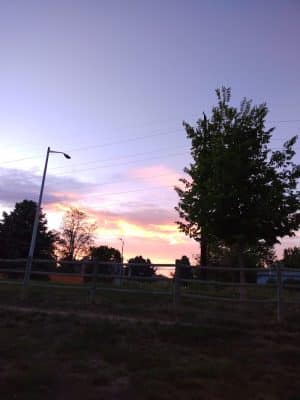City of Longmont Dog Park #1 - Longmont, CO