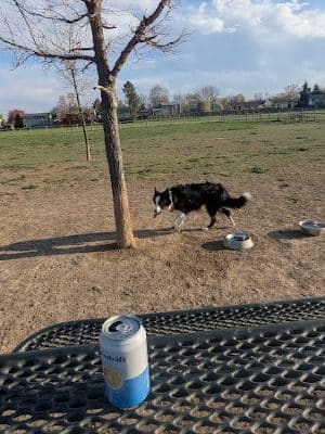 City of Longmont Dog Park #1 - Longmont, CO