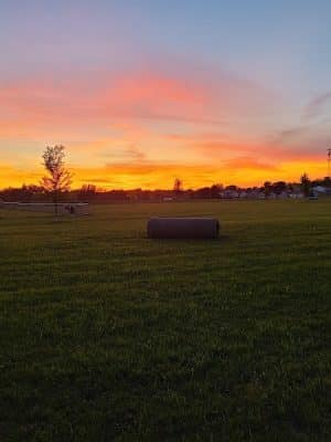 Lonsdale Dog Park