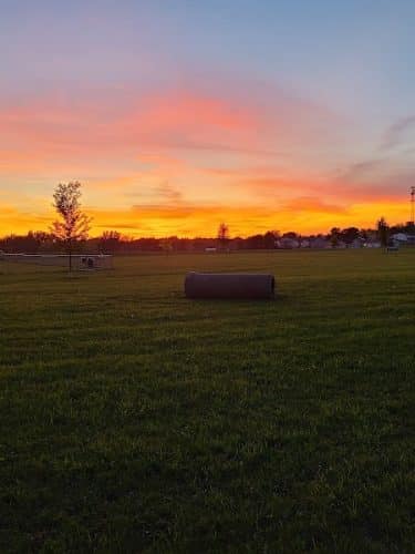Lonsdale Dog Park