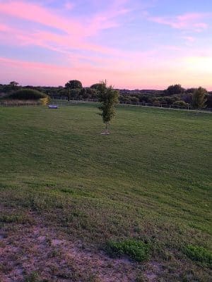 Lonsdale Dog Park