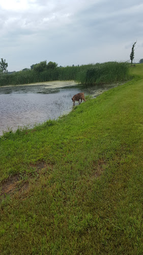 Lonsdale Dog Park