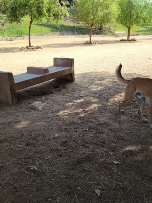 Hermon Dog Park