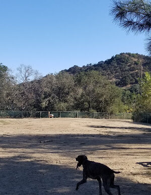 Laurel Canyon Dog Park