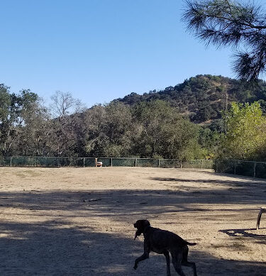 Laurel Canyon Dog Park
