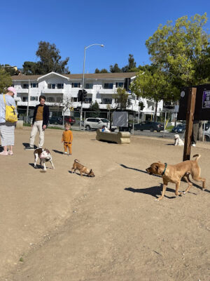 Silver Lake Dog Park