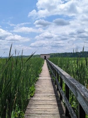Jug Bay Wetlands Sanctuary
