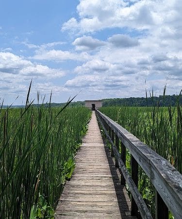 Jug Bay Wetlands Sanctuary