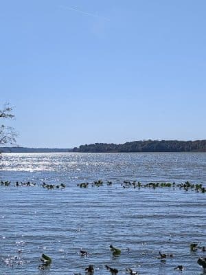 Jug Bay Wetlands Sanctuary