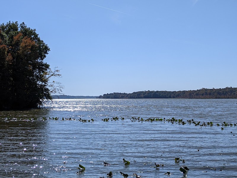 Jug Bay Wetlands Sanctuary - Lothian, MD