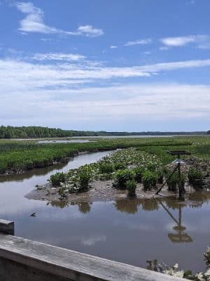 Jug Bay Wetlands Sanctuary