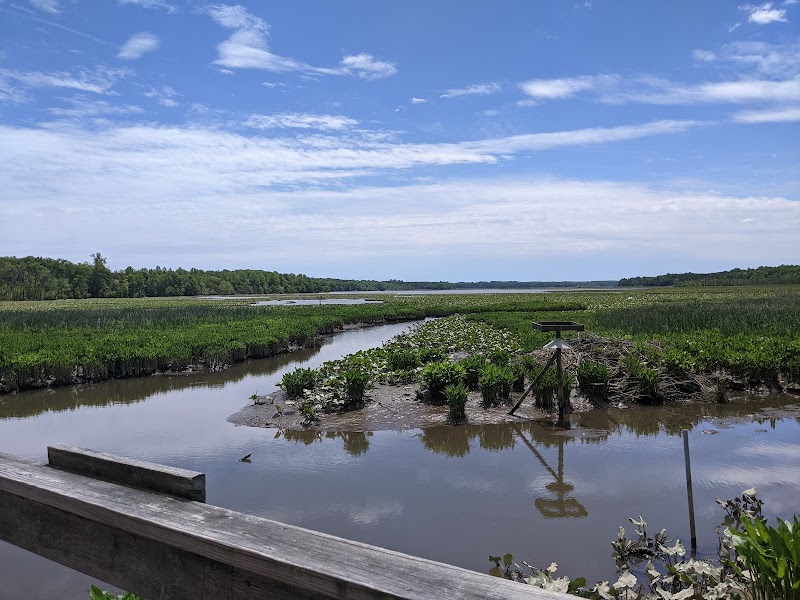 Jug Bay Wetlands Sanctuary - Lothian, MD