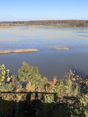 Jug Bay Wetlands Sanctuary