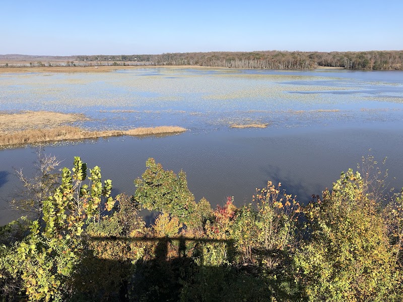 Jug Bay Wetlands Sanctuary - Lothian, MD