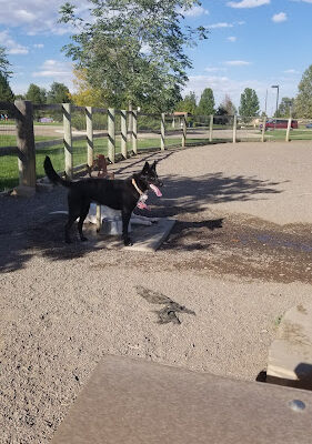 Louisville Community (Dog) Park