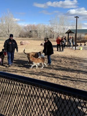 Dog Park at Fairgrounds Park