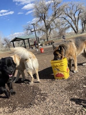 Dog Park at Fairgrounds Park