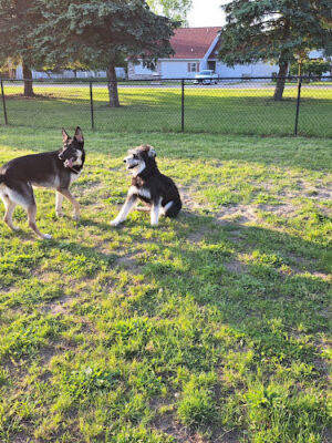 Stoney Lakeside Park and Dog Park