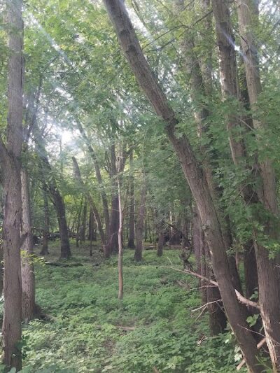 Stoney Lakeside Park and Dog Park - Lowell, MI