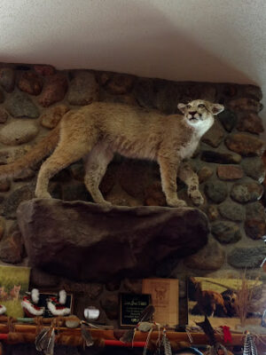 Lower Brule Wildlife