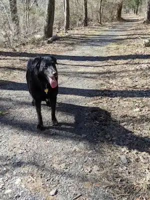 Treweryn Farm Trail